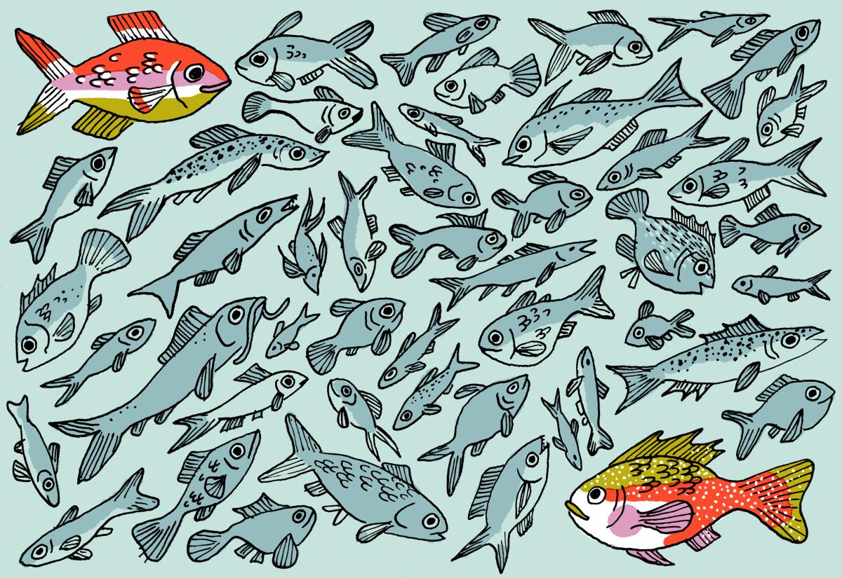 I knew there were a lot of fish in the sea: I went on 46 blind dates.