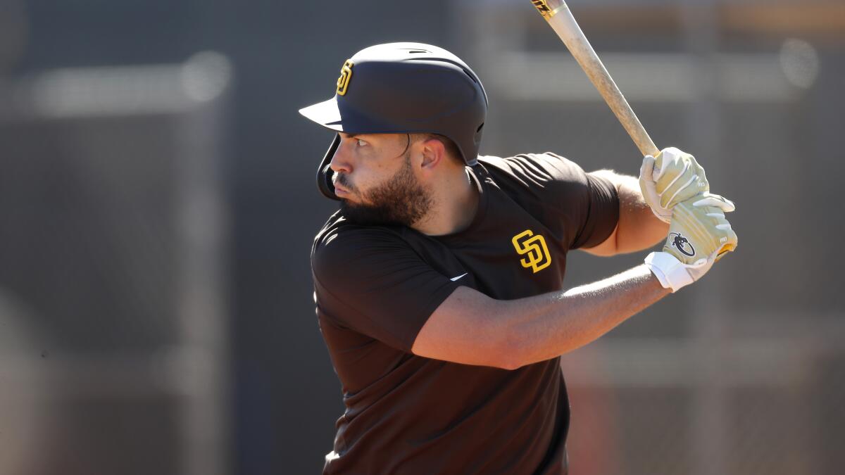 Talking with  Padres baseball ops assistant Skip Schumaker - The San  Diego Union-Tribune