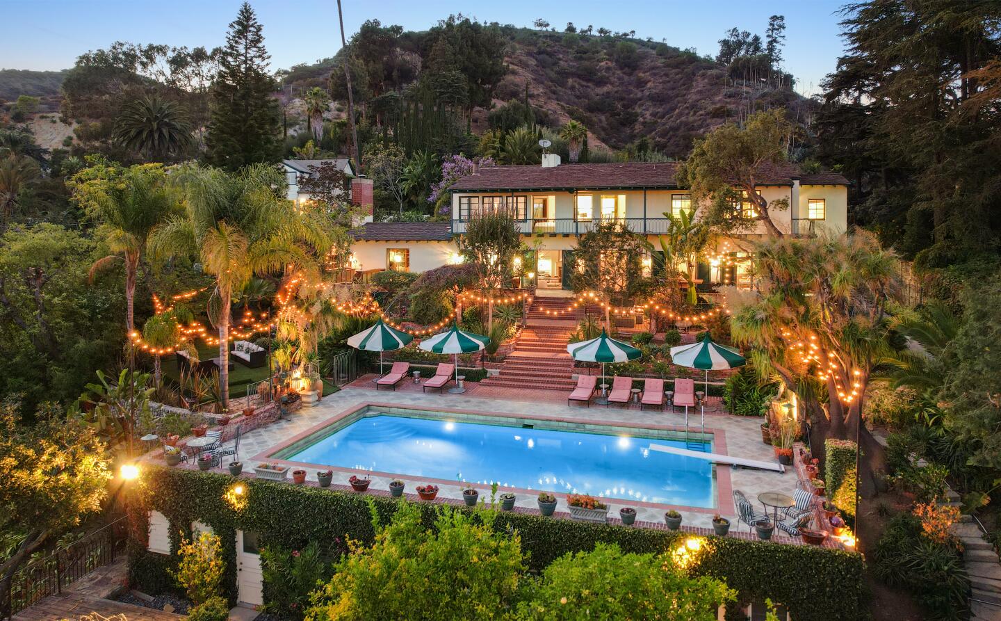 The palm-topped backyard.