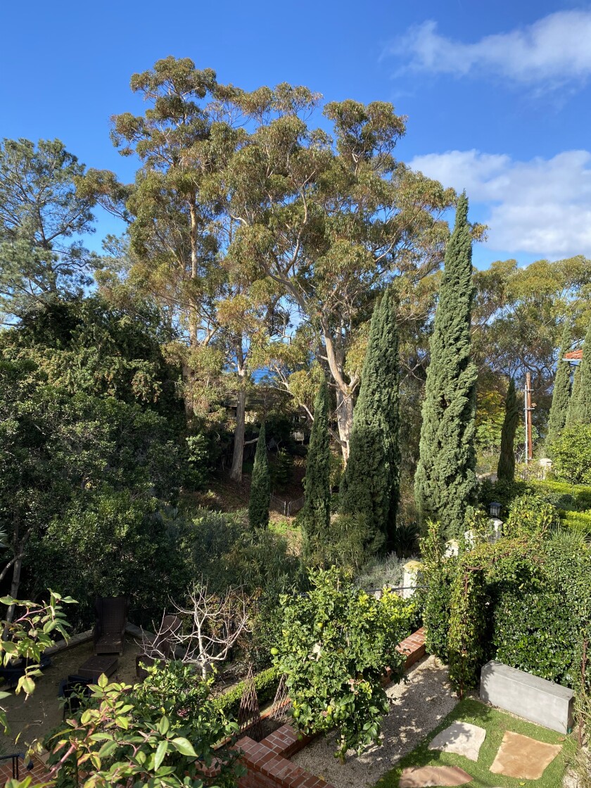 A peek of one of the gardens that will be featured in the La Jolla Historical Society's upcoming Secret Garden Tour.