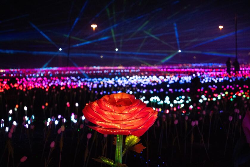 Symphony of Flowers is a show with more than 100,000 luminous flowers.