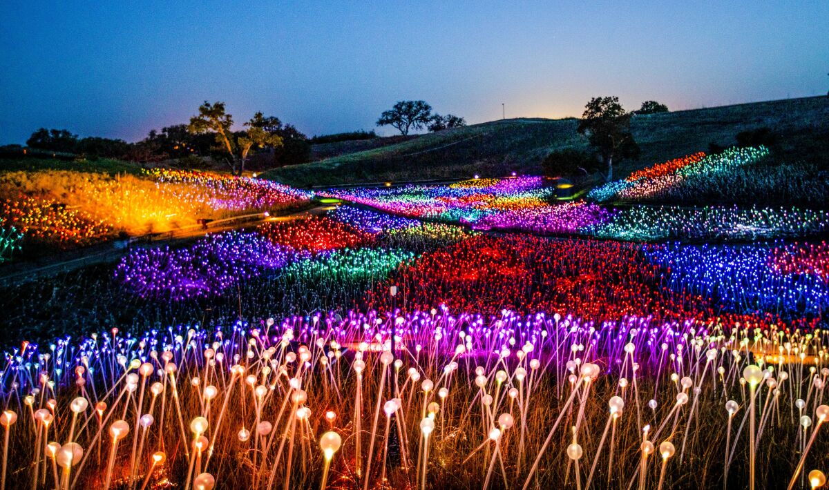  Sunrise over a field full of multi-colored lights