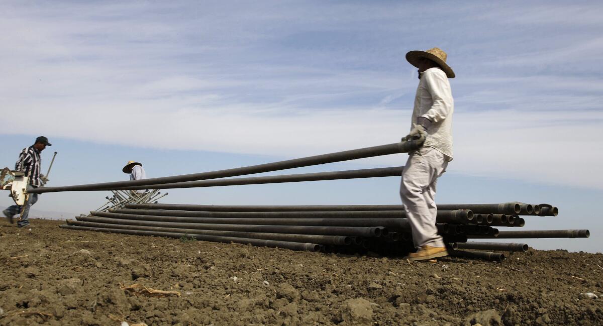 Workers move irrigation pipes from a field in the Westlands Water District near Five Points, Calif. 
