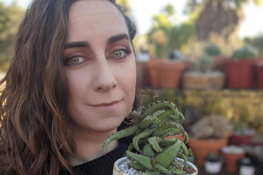 The La Jolla Community Center will present “Growing Cacti and Succulents 101” with Jennifer Greene on Wednesday, July 13.