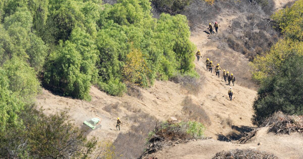 Le financement de la prévention des incendies de forêt en Californie risque de se tarir