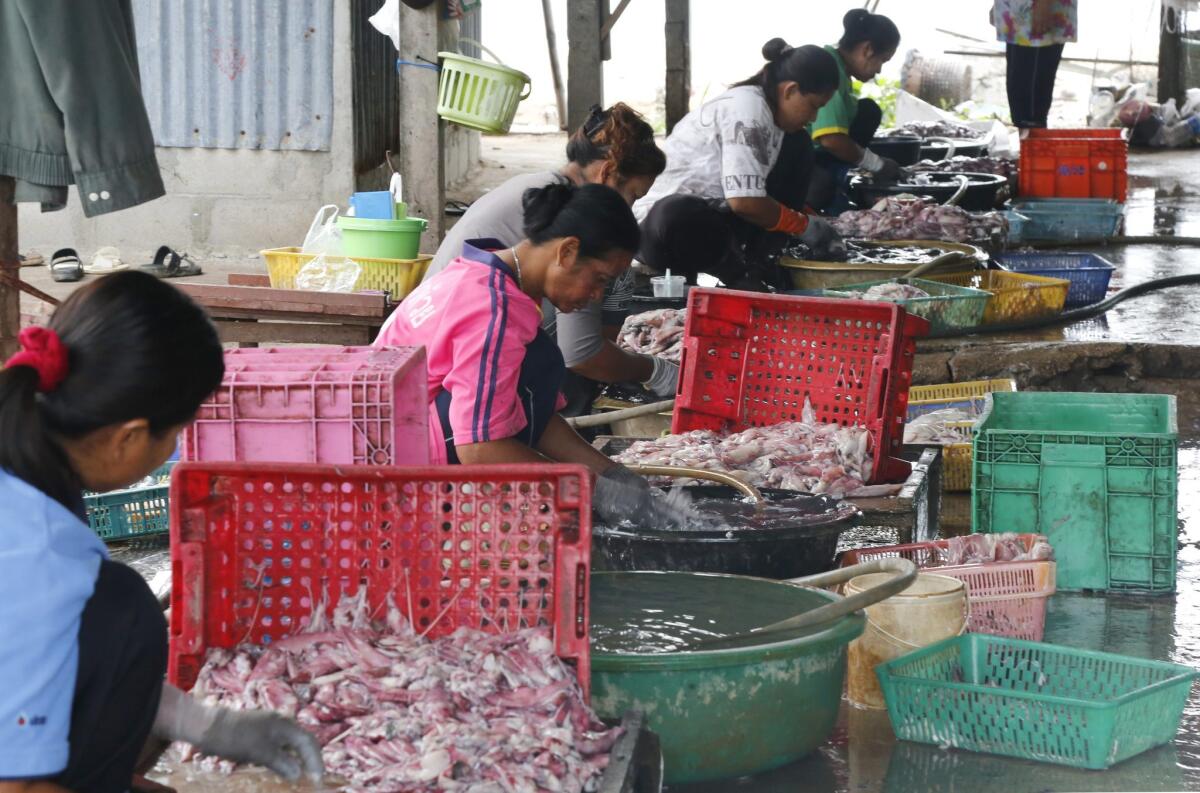 Seafood workers in huts prepare seafood in Thailand. Thailand, Malaysia and Venezuela have become among the worst offenders in trafficking of humans, the US State Department said in its annual human trafficking report released late this week.
