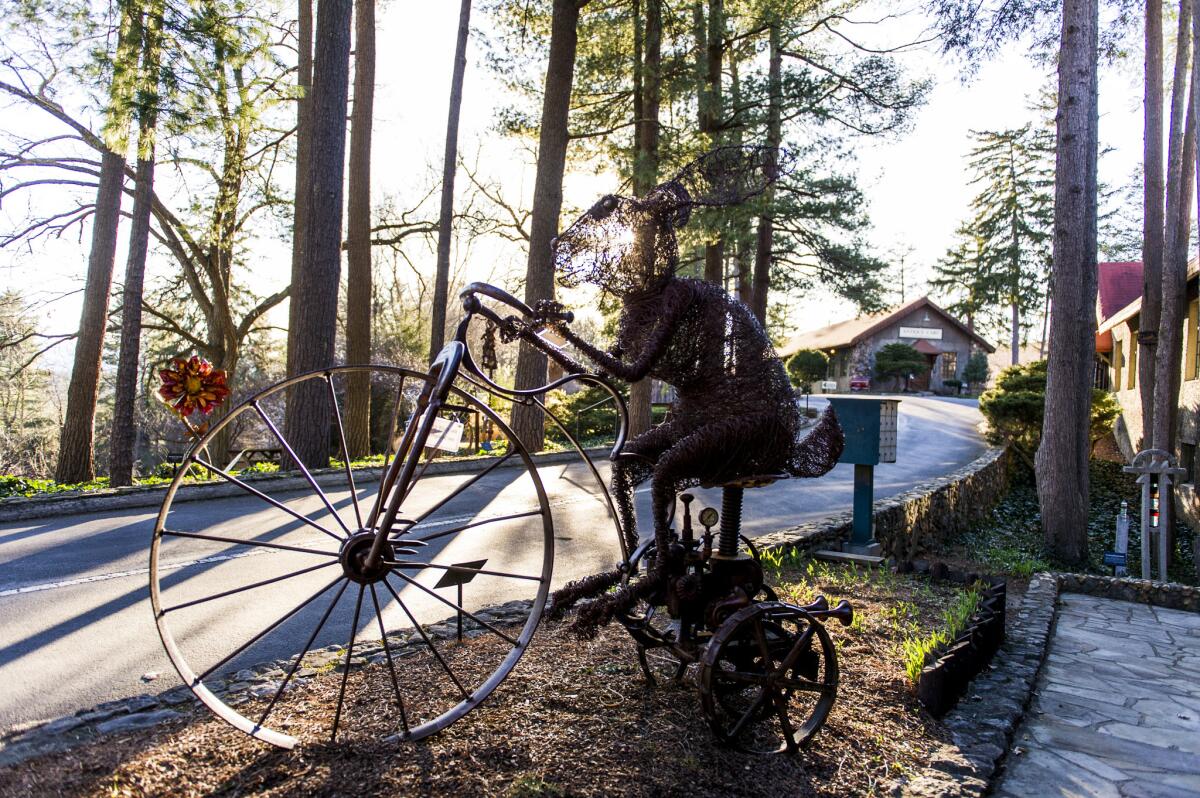 A mixed media sculpture by Josh Cote, titled, "Clockwork High Wheel Hare" is on display outside the Grovewood Gallery.