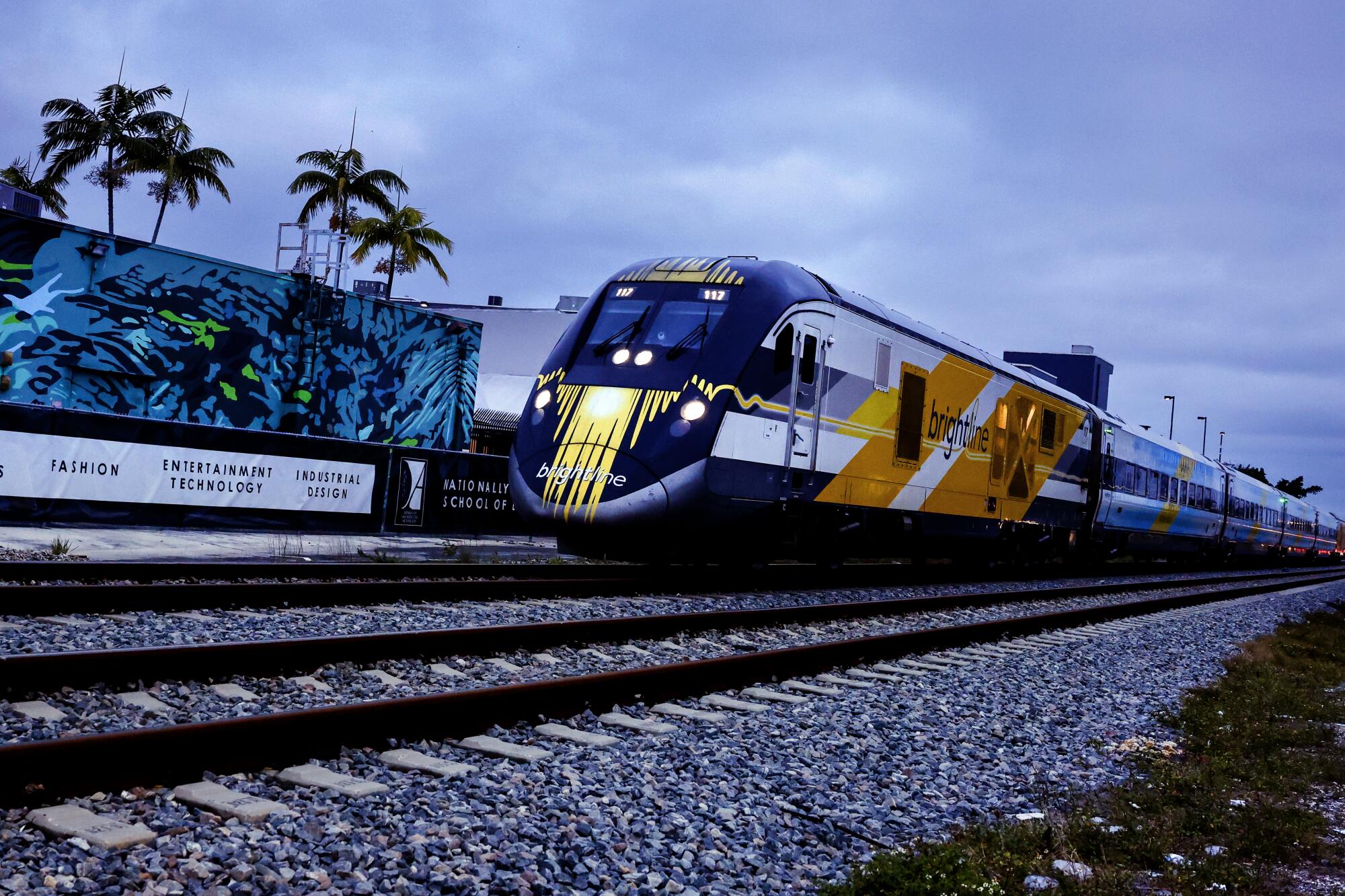 A blue-and-yellow train on railway tracks, with palm trees on the left