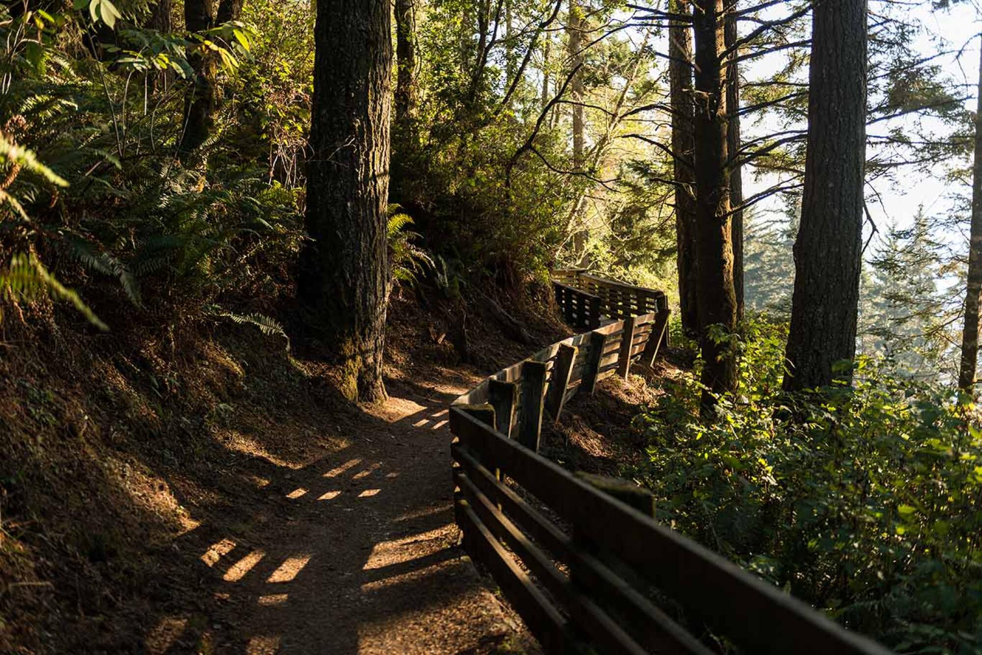 Trail on the southern coast of Oregon, USA