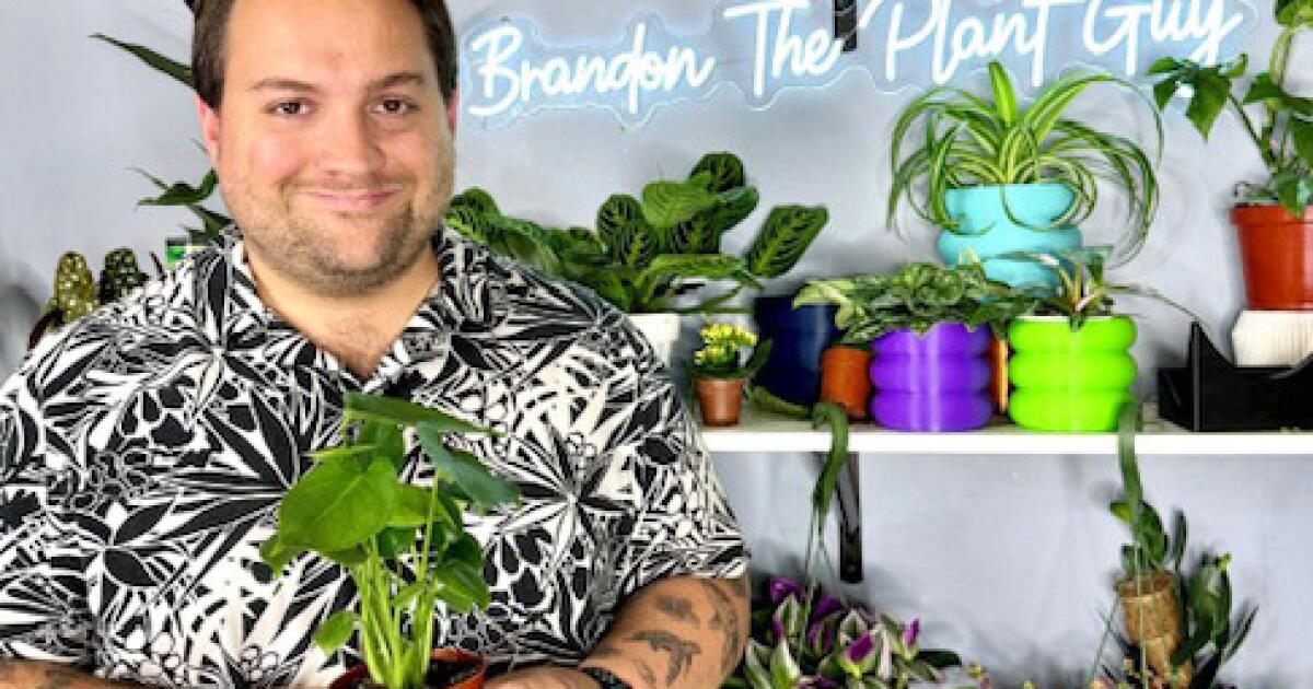 L.A. influencers, businesses live or die on TikTok’s algorithm. Now they fear for the future L.A. influencers, businesses live or die on TikTok’s algorithm. Now they fear for the future