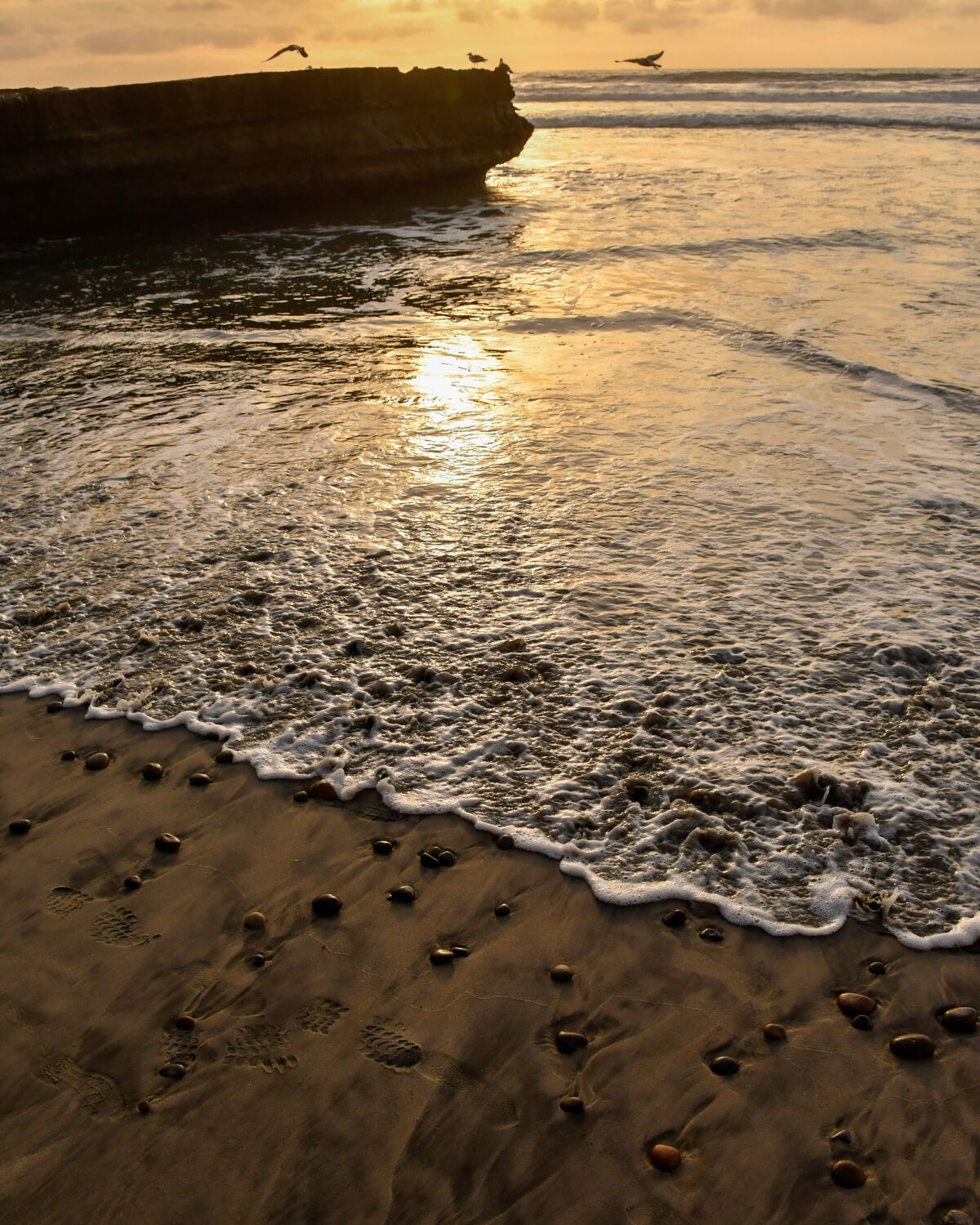 Birds fly over a rock formation at the beach at Torrey Pines State Natural Reserve.