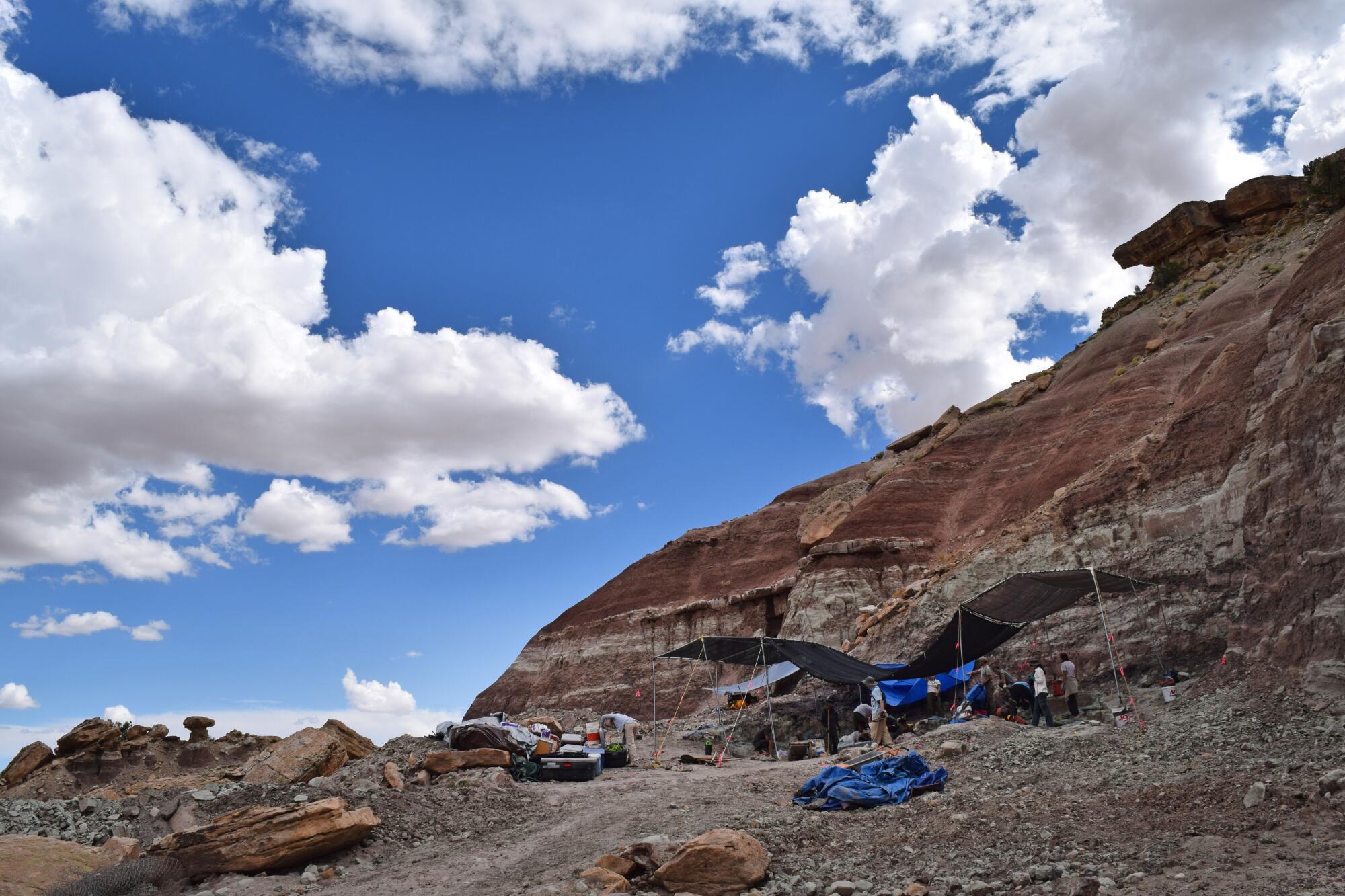 The dinosaur dig site of Gnatalie in Utah.