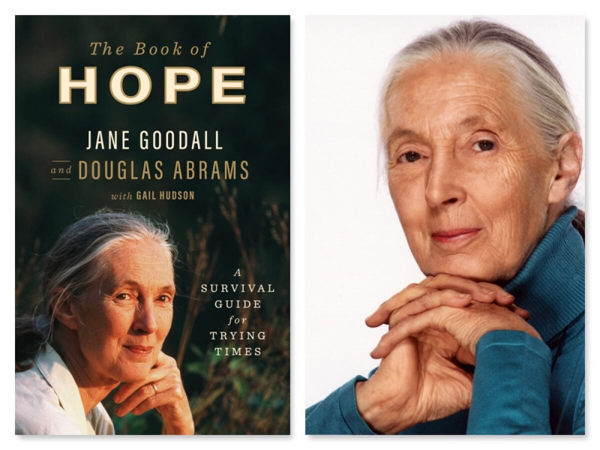 Jane Goodall side-by-side with the book cover for her latest, "The Book of Hope."