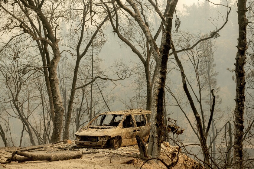 A burned van surrounded by trees.