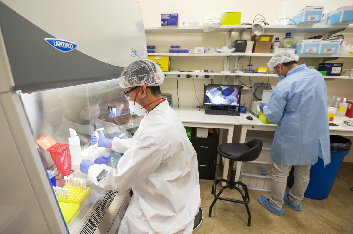 Workers process COVID-19 tests at Pangea Lab in Costa Mesa on April 24.