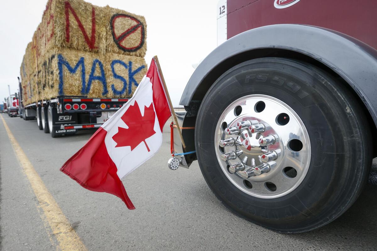 A Canadian flag on a truck fender as another truck carries hay bales painted with "No mask" 