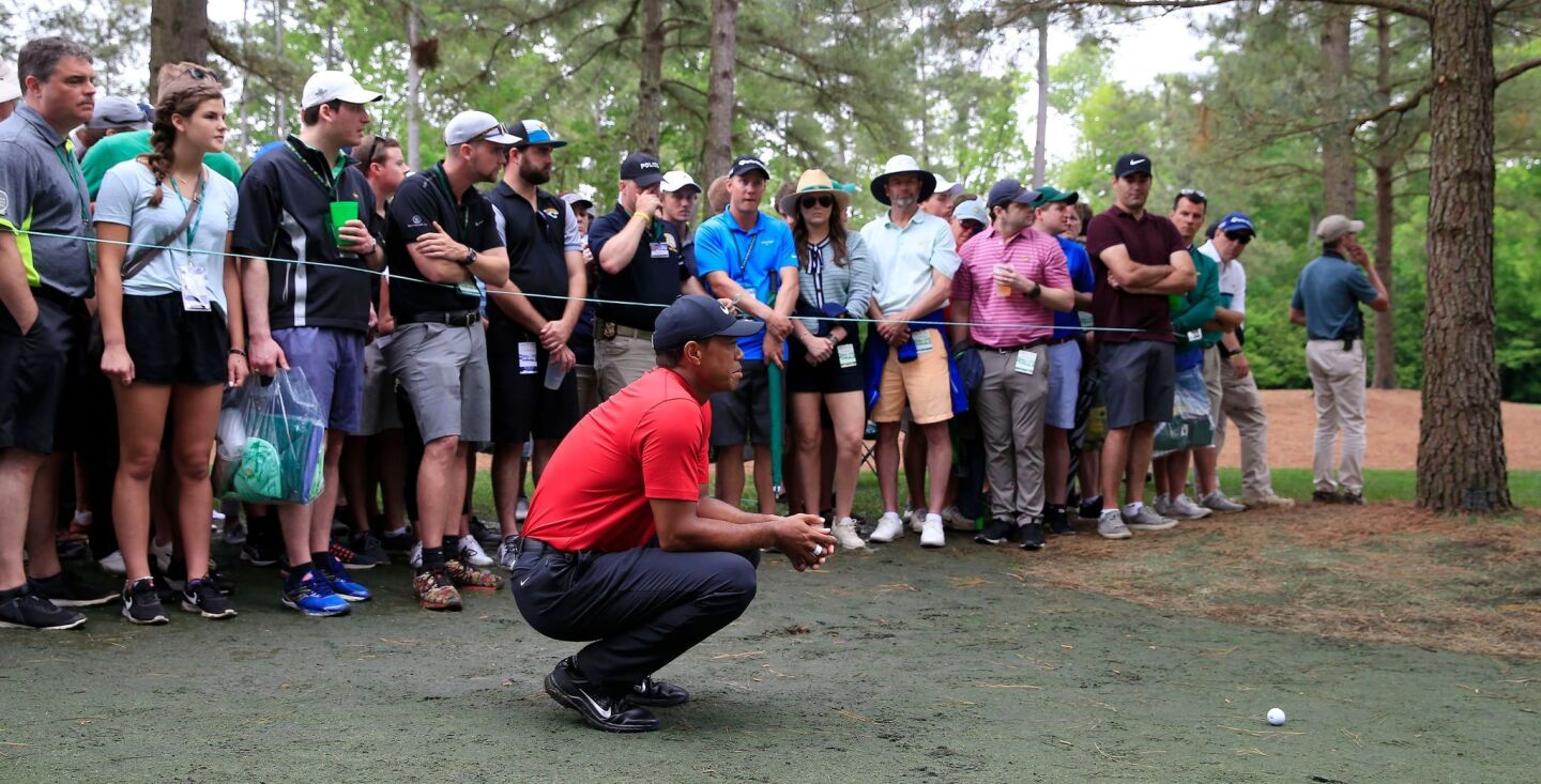 Tiger Woods looks at his second shot from the patron area on the 11th hole.