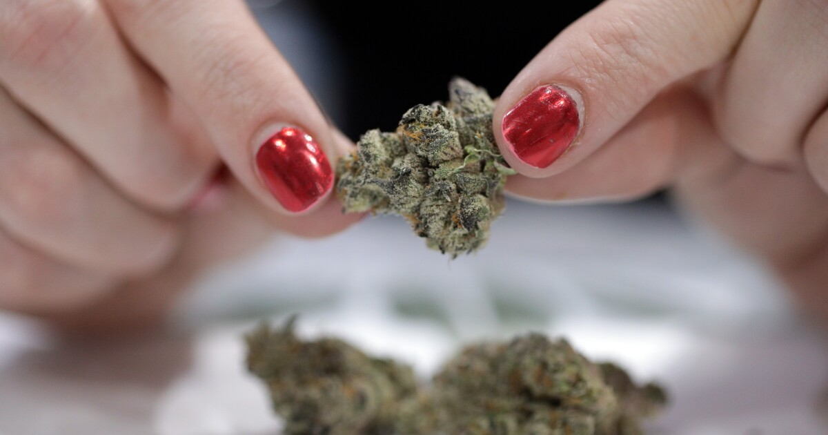 Weed Weed
