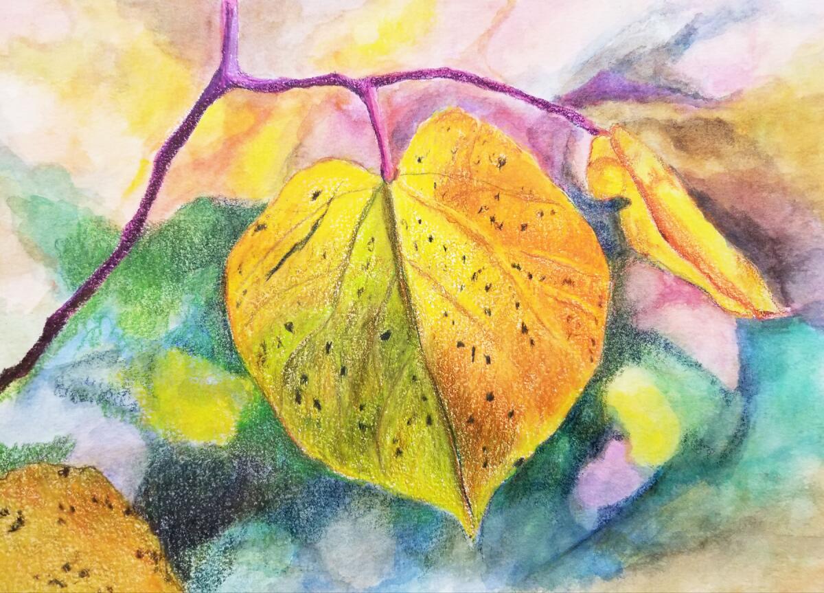 A nature-inspired colored pencil artwork by Judy Jacobs.