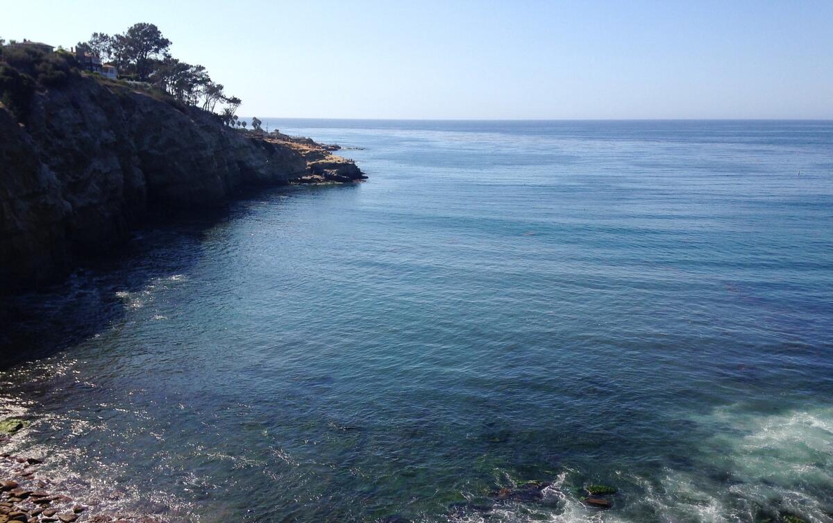 La Jolla Cove was closed to swimmers and kayakers after a reported sighting of a hammerhead shark on Saturday. — K.C. Alfred