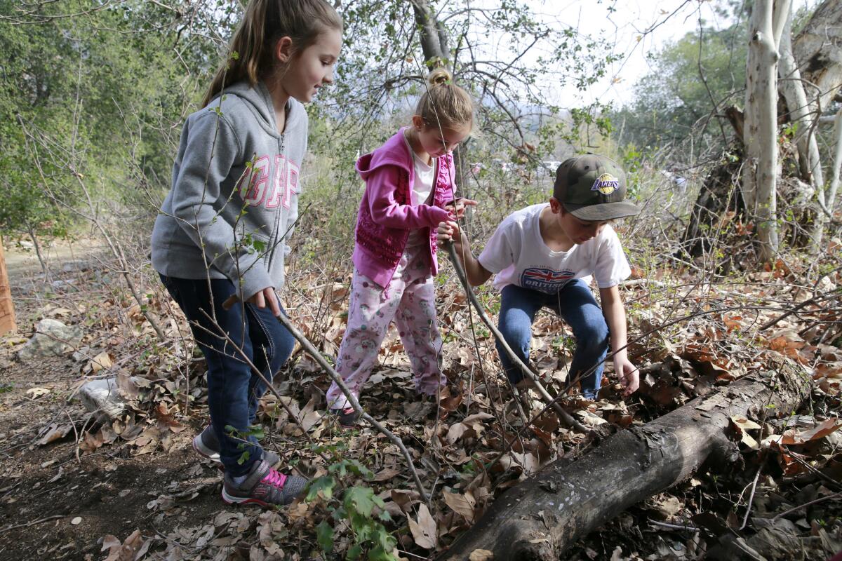 Carmen Bermejo, 8, left, Ava Joanis, center, and Logan Joanis, were among roughly two dozen citizen scientists turning over logs and poking into leaves on a quest to count snails.