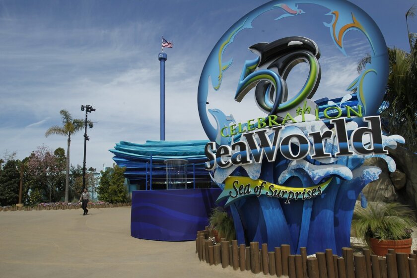 PETA says it believes there are more individuals connected to what it claims is an operation by SeaWorld to infiltrate its organization.