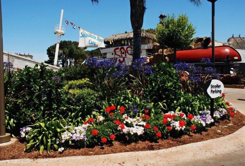 Chuck Kline created a technique known as a mound for SeaWorld landscaping.  It facilitates the drainage of salt water, resulting in healthier and more beautiful plants.