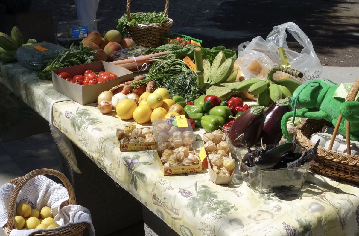 The La Jolla Backyard Produce Exchange meets monthly to give neighbors a chance to trade their homegrown goods for others.
