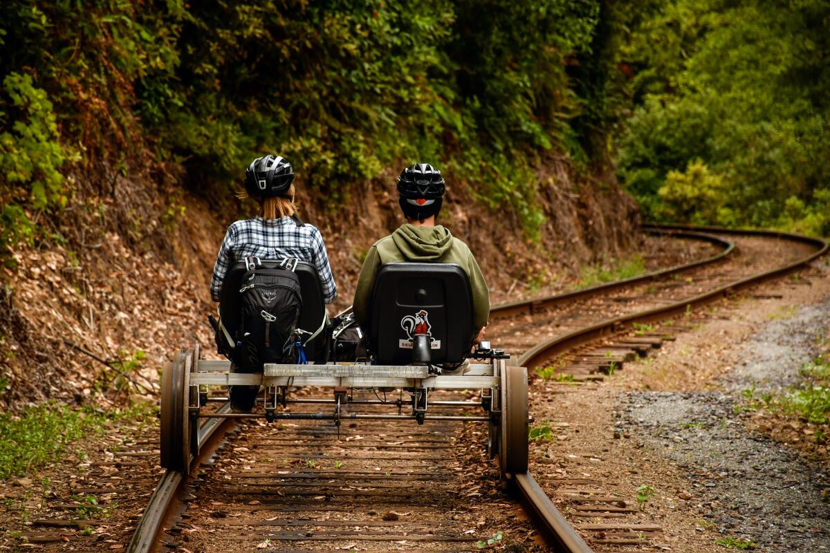 Riders pedal a railbike on railroad tracks through a redwood forest.