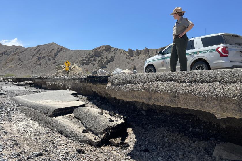 An NPS ranger looks at flood damage along California State Route 190 in Death Valley National Park.