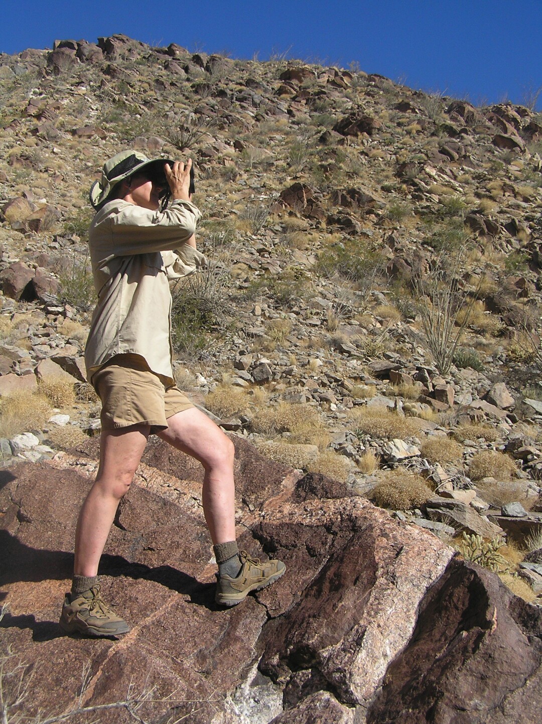 Callie Mack counts bighorn sheep in the Lower Hellhole in 2009.