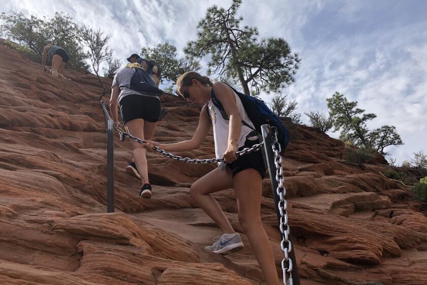 ZION NATIONAL PARK, UTAH AUGUST 5, 2019 --Hikers climb to the top of Angels Landing in Zion National Park. This Angels Landing hike features a climb along the narrow ridge with chain-assisted rock sections and stunning views. (Marc Martin / Los Angeles Times)