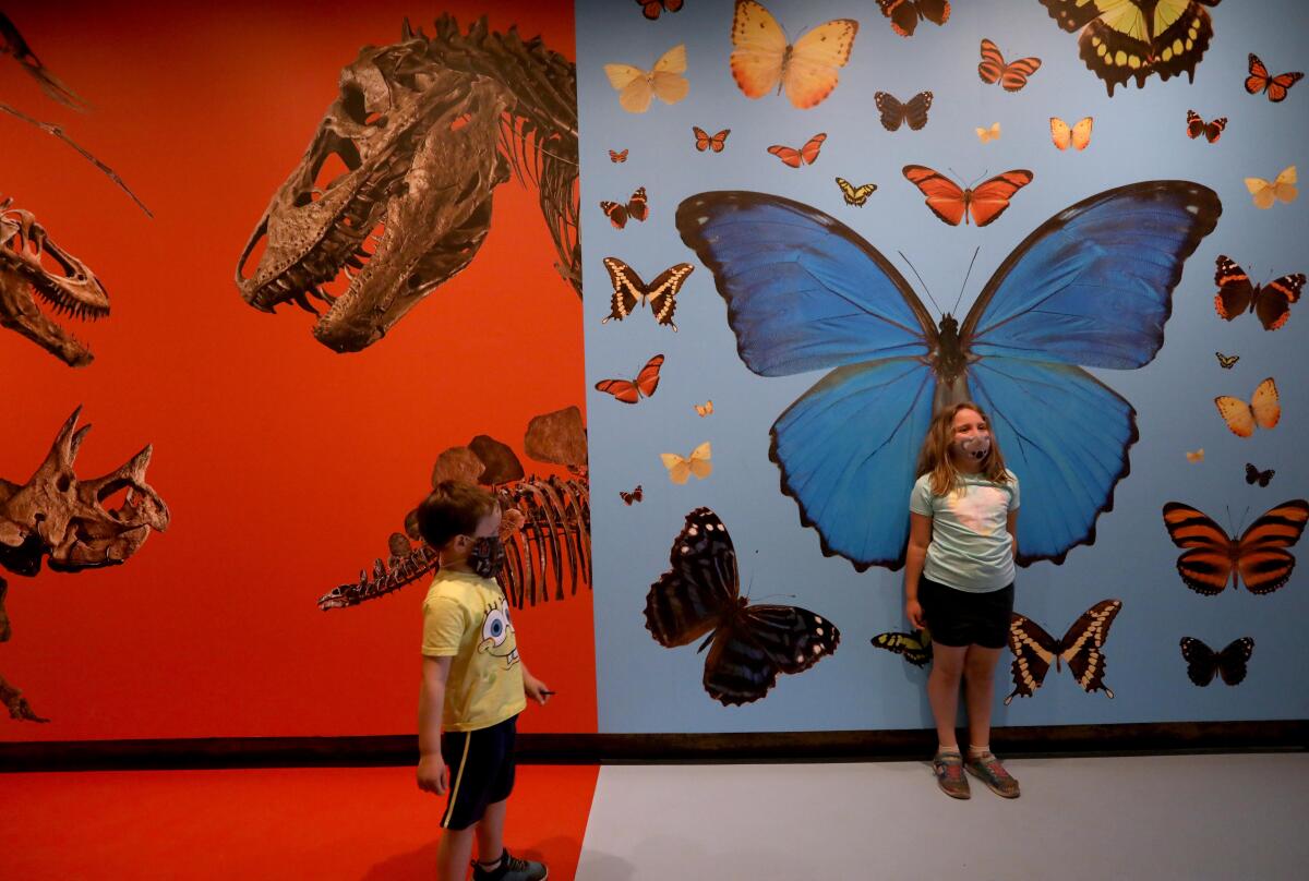 Olivia Brown and her brother Jacob visit the Natural History Museum in Los Angeles 