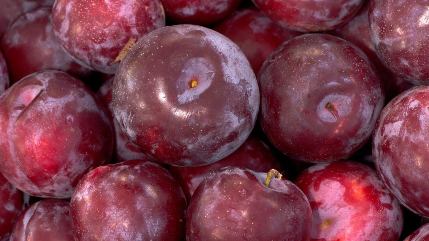 How to Select & Store Plums - The Produce Nerd