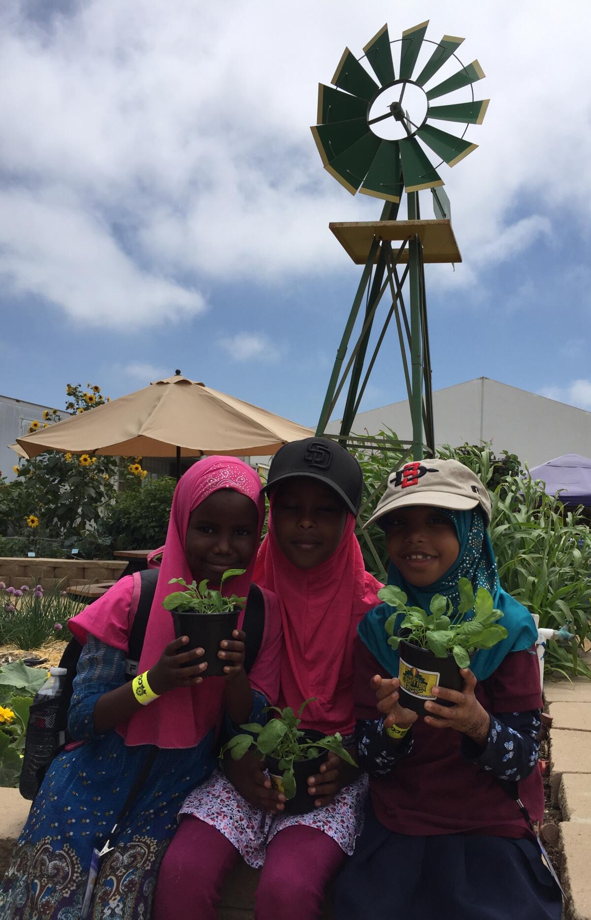 First-graders Ekra Ali, Nusayba Adan and Asma Aden of Iftin Charter School in San Diego hold their prize-winning radish plants.
