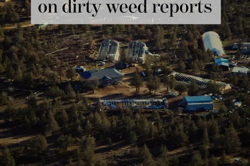 Regulators kept a lid on dirty weed reports