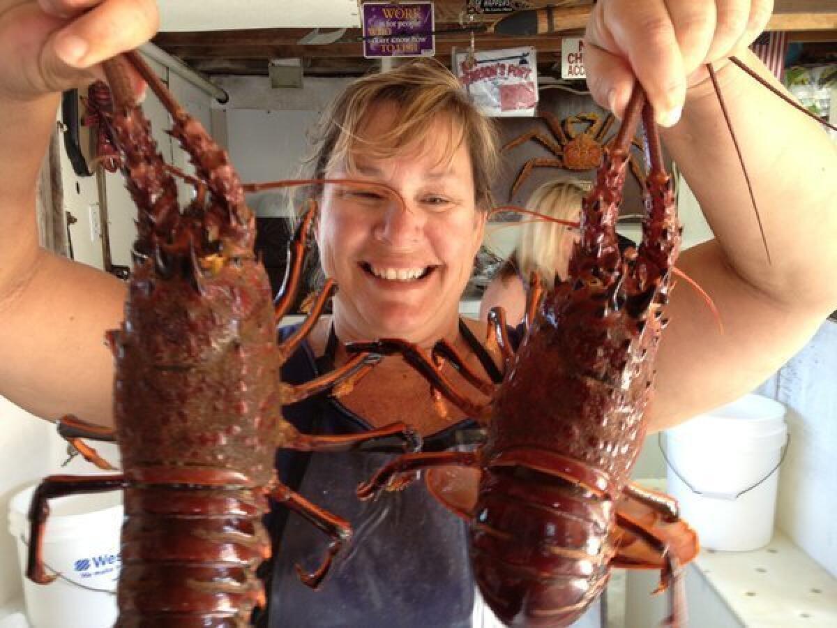 Terese Pearson of Pearson's Port in Newport Beach holds a couple of spiny lobsters.