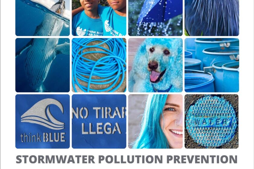 Think Blue San Diego encourages stormwater pollution prevention.