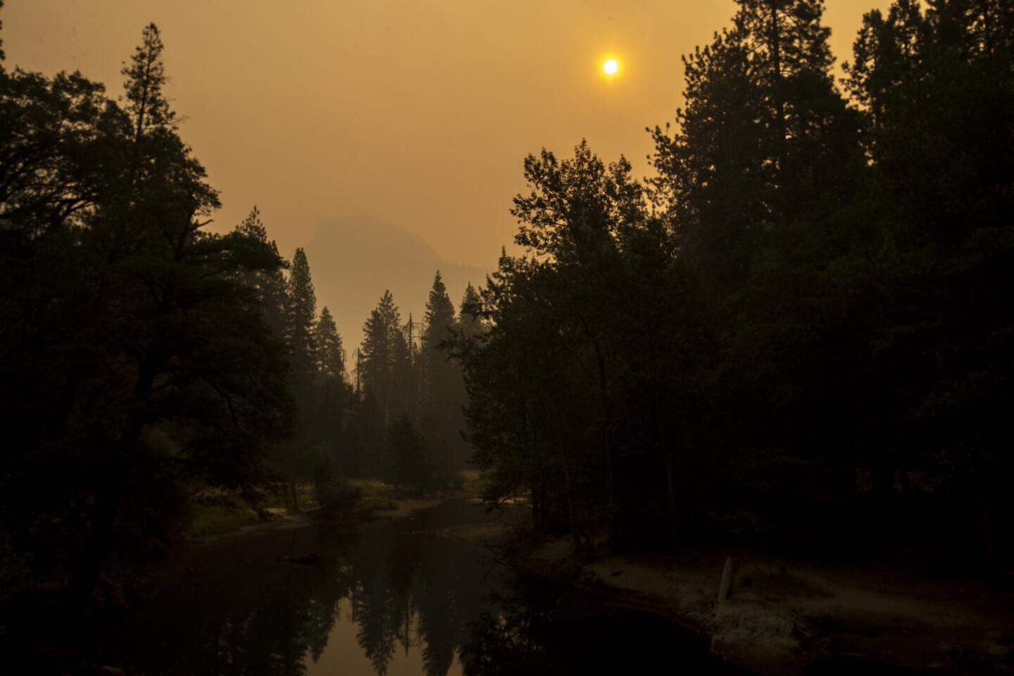 Tall trees are silhouetted against a smoky orange sky.