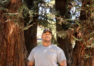 A man stands by trees.