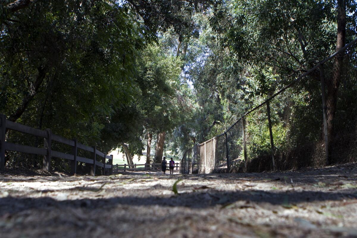 Two runners jog along a path in Griffith Park.
