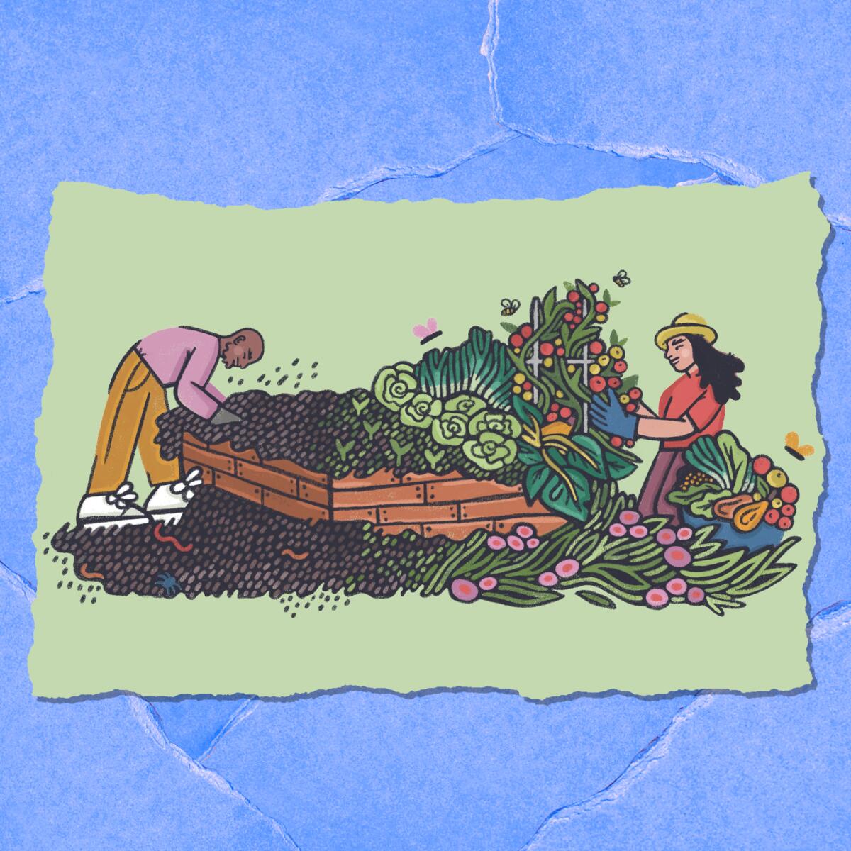 Illustration of two people working on vegetables in a raised garden bed.