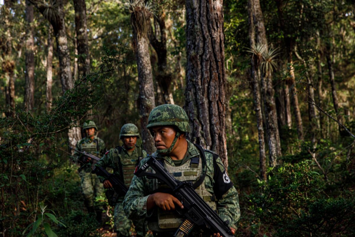 Members of the Mexican national guard search for signs of undocumented travelers near Comitan, Mexico, in June. 