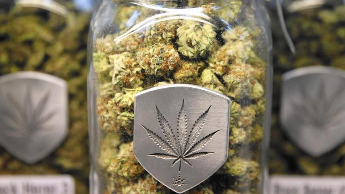 Different strains of pot are displayed for sale at a marijuana dispensary in Denver in 2013.