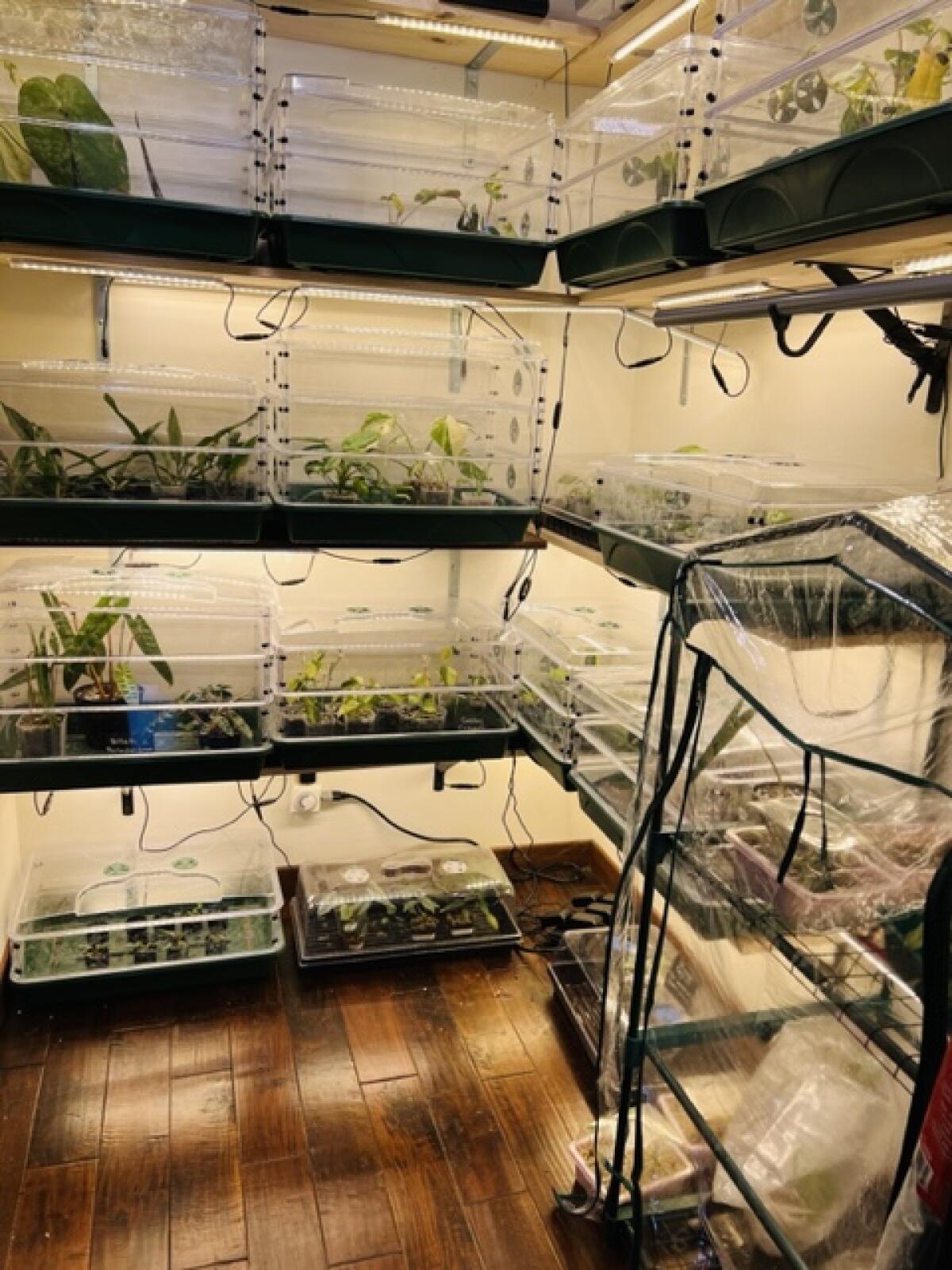 Inside the Plant Vault incubator.
