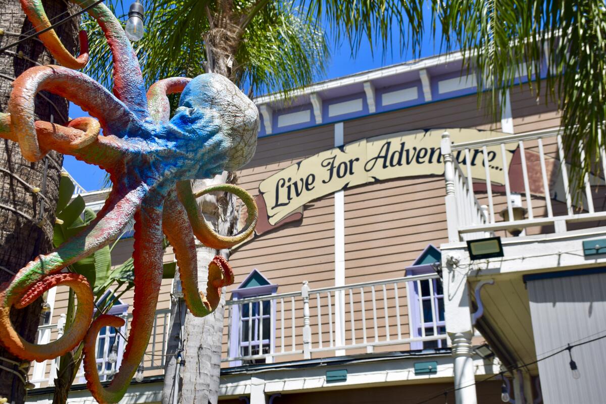 A view of a fake octopus hung outside Pirates Dinner Adventure.