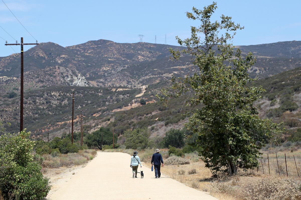 A couple walks their dog as they enter Black Star Canyon from the trailhead in Silverado.