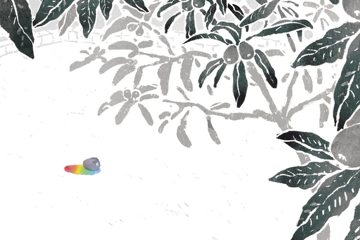 Illustration of a loquat tree rising up above a single loquat casting a rainbow shadow.