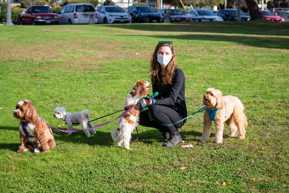 Madison Parker walks Billie, Charlie, Lucy and Bodi at Fanuel Street Park in Pacific Beach. 