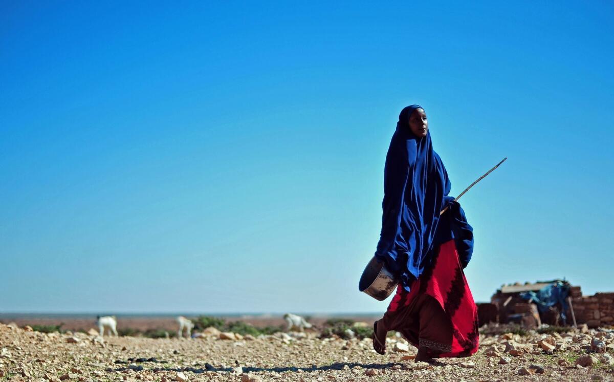 Una mujer somalí atraviesa el árido paisaje en el noroeste de Somalia, en medio de advertencias de una inminente hambruna para el país (Mohamed Abdiwahab / AFP/Getty Images).